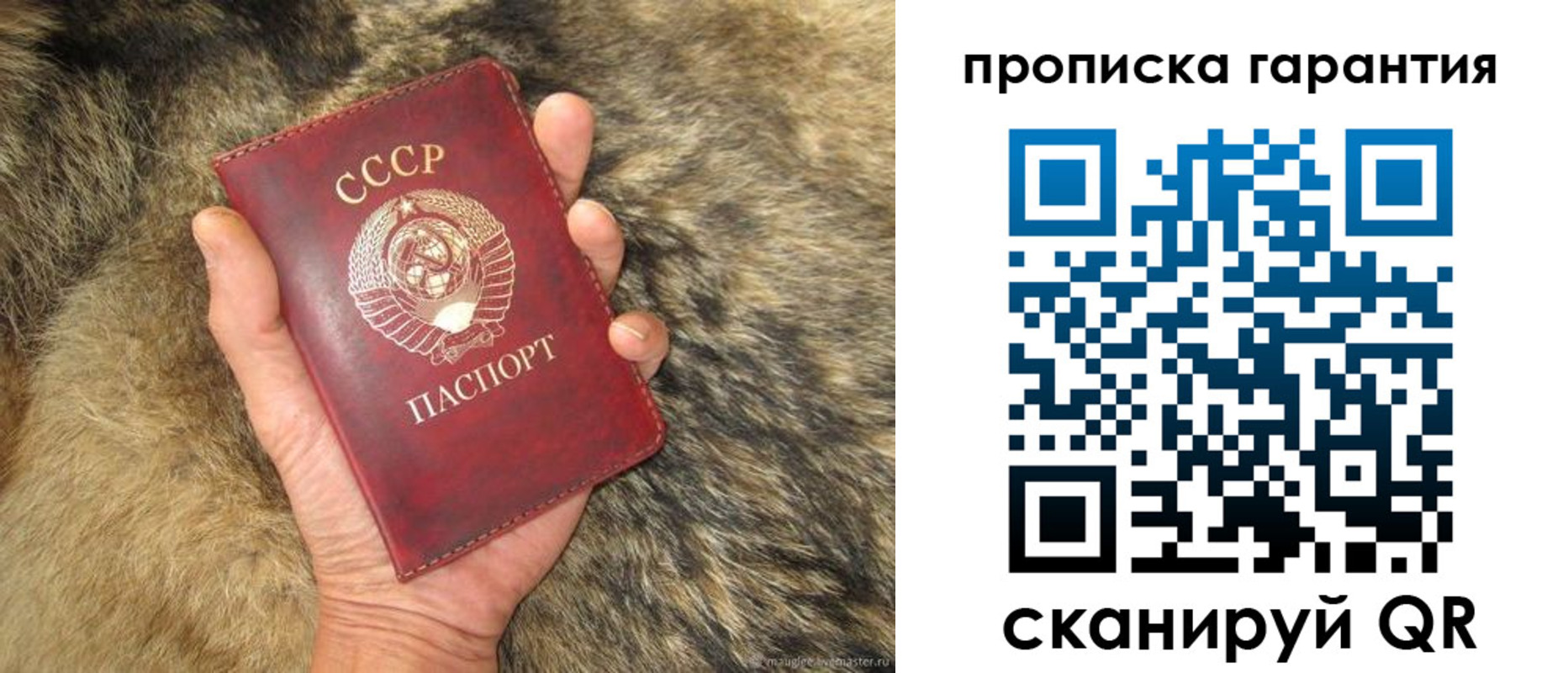 временная регистрация гарантия в Северной Осетии